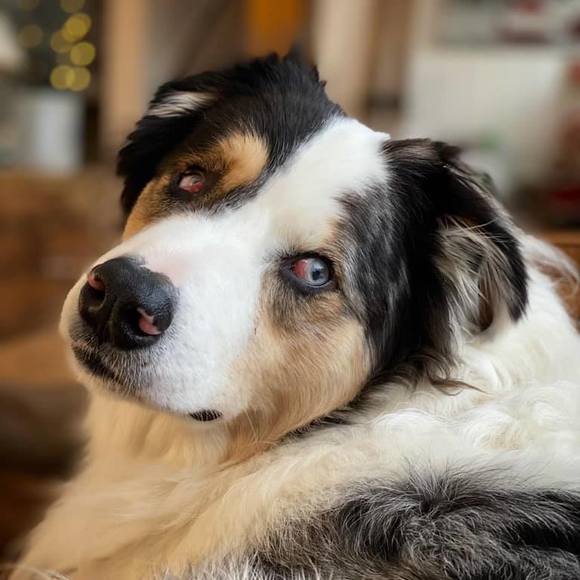 Meet your Posher, James - Picture 1 of 1